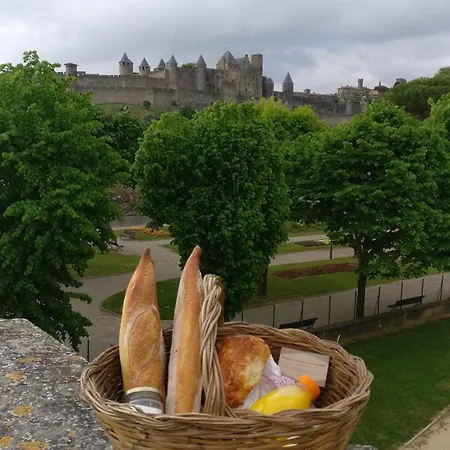 Les Remparts De Caroline, Au Pied De La Cite. Holiday home Carcassonne